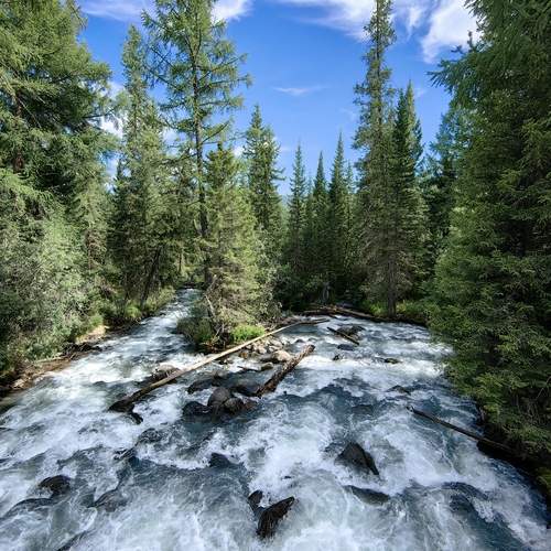 Быстрая река Тюнь на Алтае