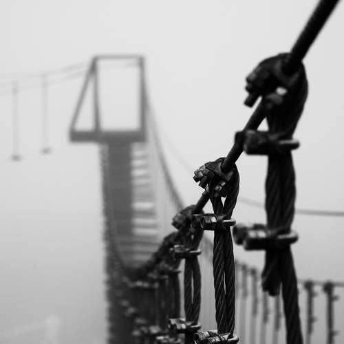 Фотография #13242397