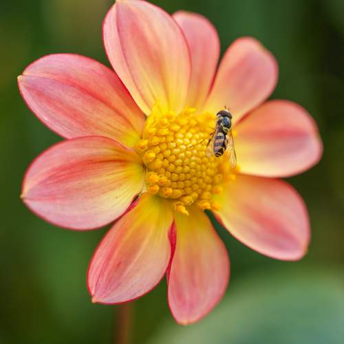 Photo #13242462