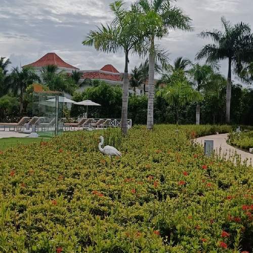 Photo #13242590
