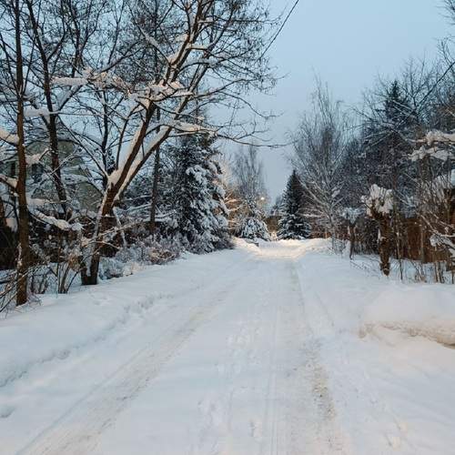 Photo #13242593