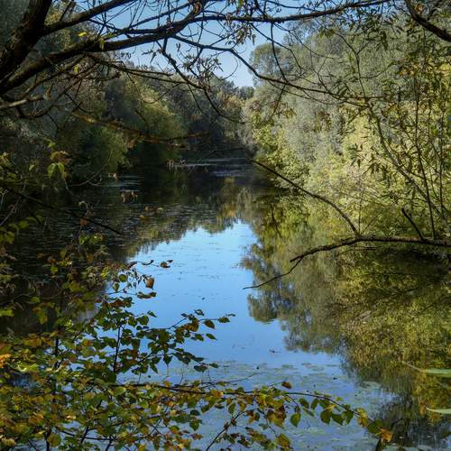 Photo #13242602