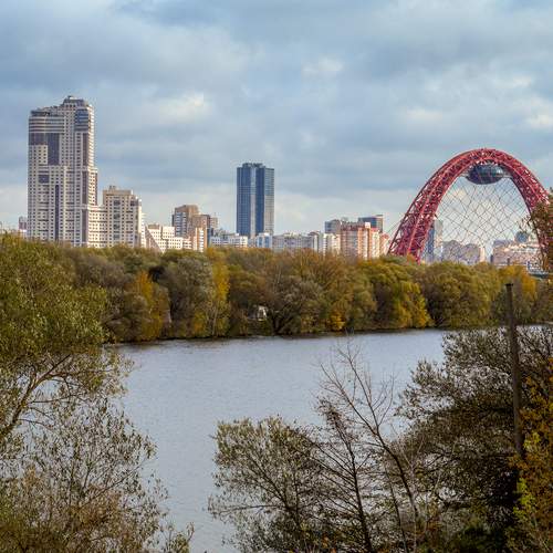 Photo #13242609