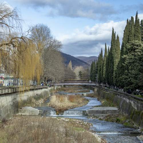 Photo #13242626
