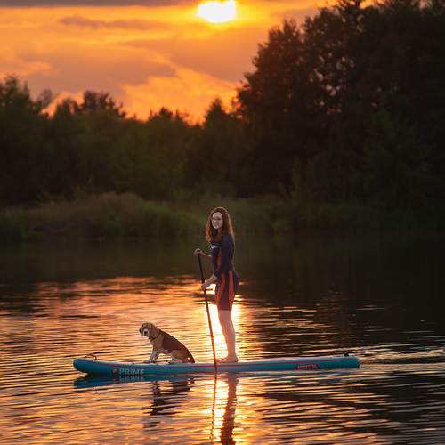 Photo #13242748