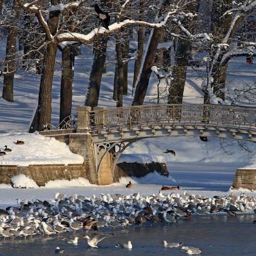 Photo #13242766