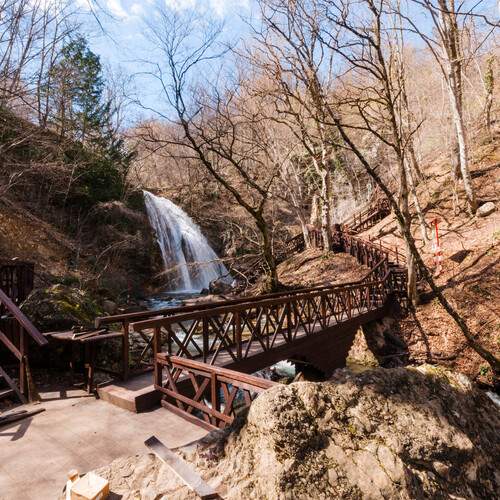 Photo #13242874