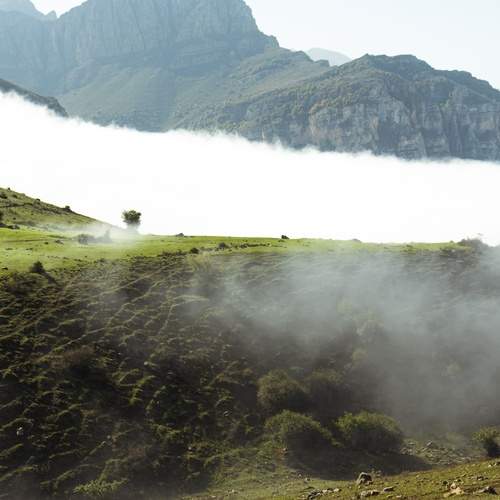 Photo #13242906