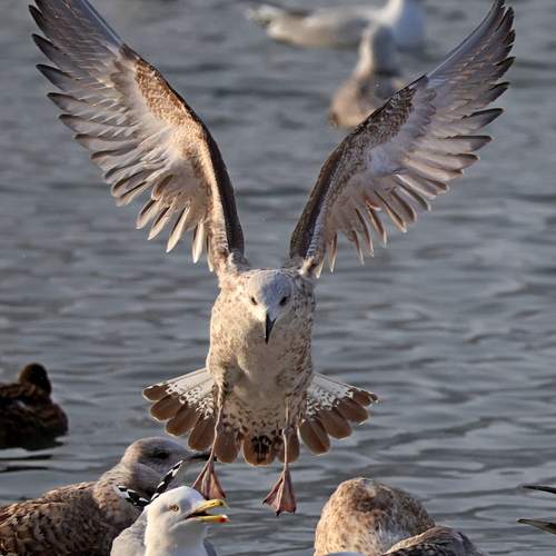 Photo #13242914
