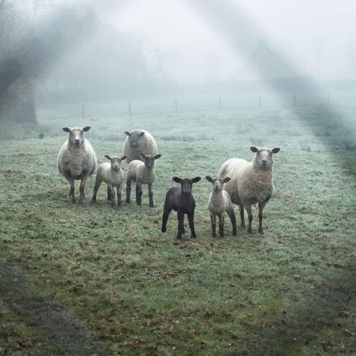 Photo #13242961