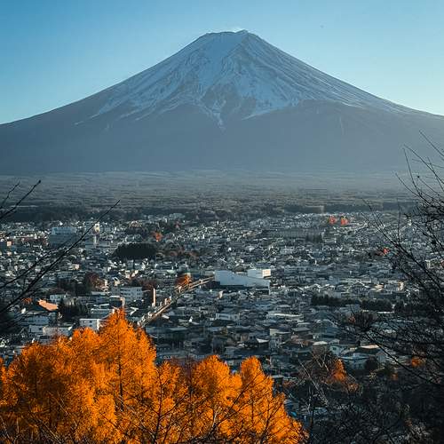 Photo #13243029