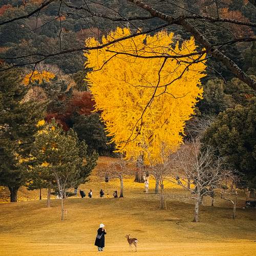 Photo #13243036