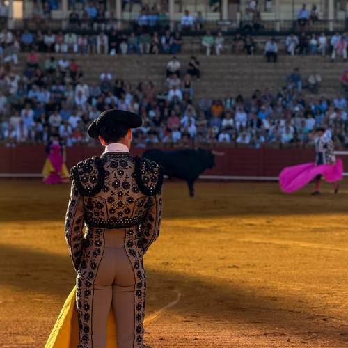 Photo #13243037