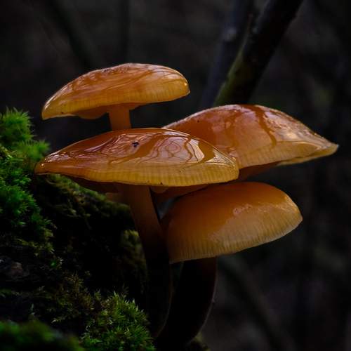 Photo #13243069