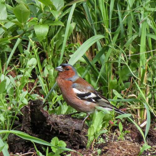 Photo #13243124