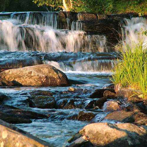 Photo #13243161