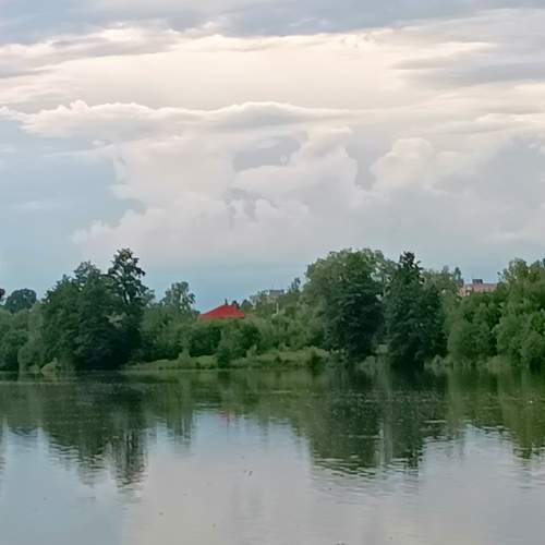 Photo #13243169