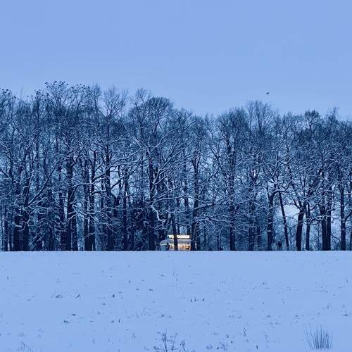 Photo #13243240