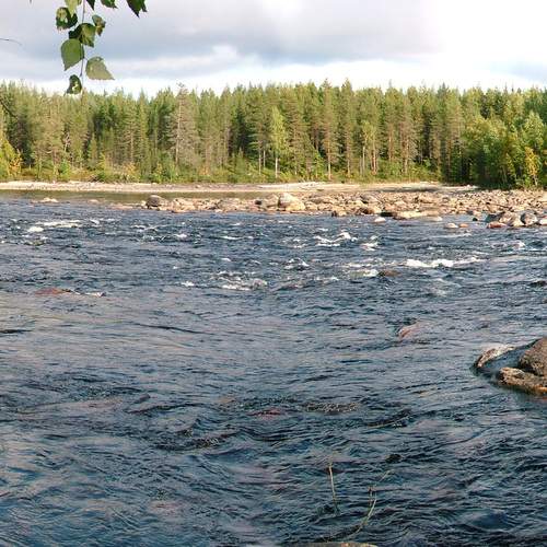 Photo #13243297