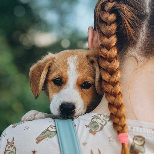 Photo #13243417