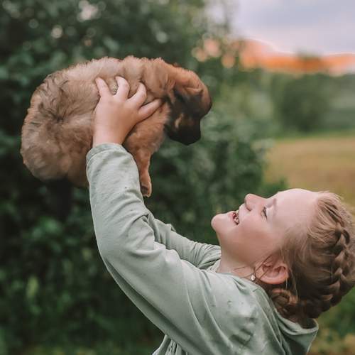 Photo #13243426