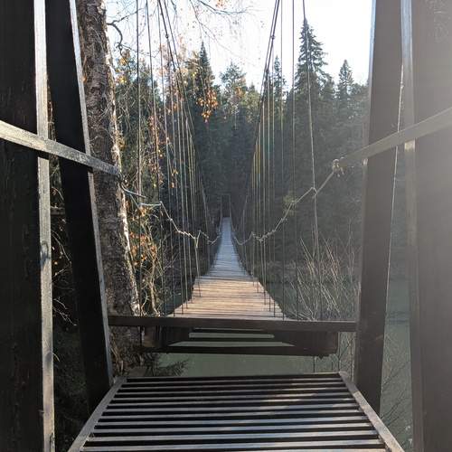 Photo #13243458