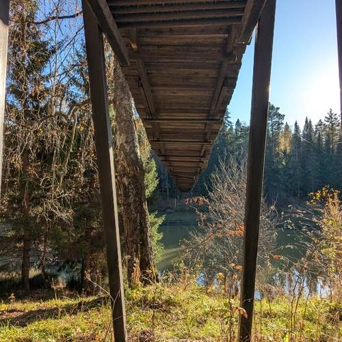 Photo #13243460