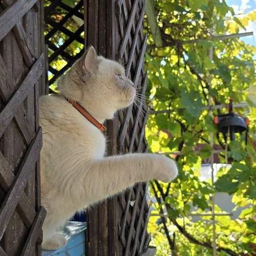 Photo #13243630