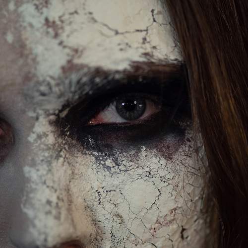 Photo #13243680