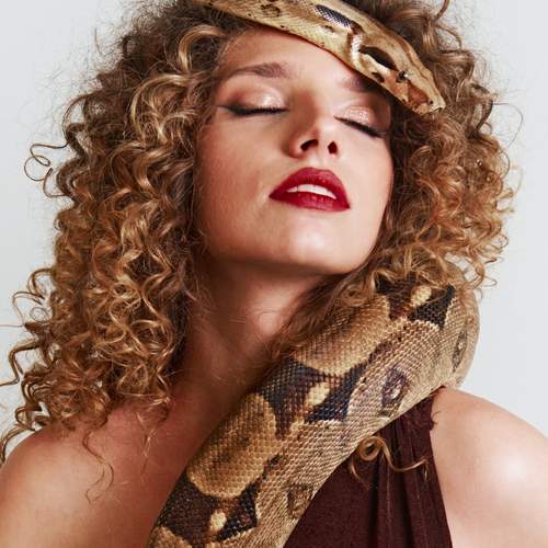 Photo #13243706