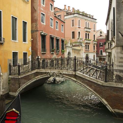 Photo #13243722
