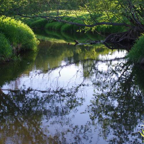 Photo #13243946