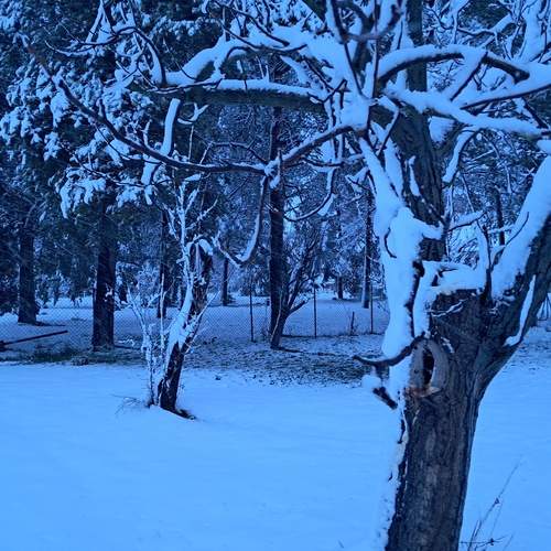 Photo #13244120