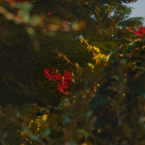 Photo #13244322