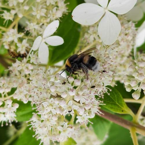Photo #13244454