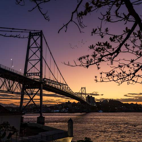 Photo #13244645
