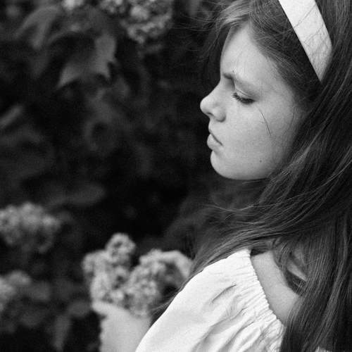 Photo #13244710
