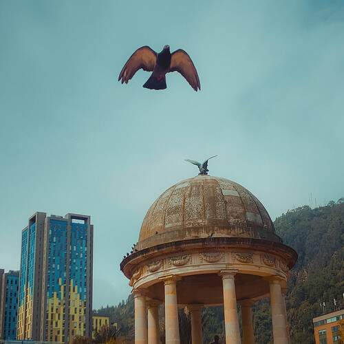 Photo #13244874