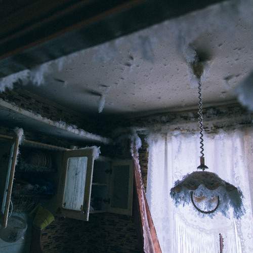 Photo #13244913