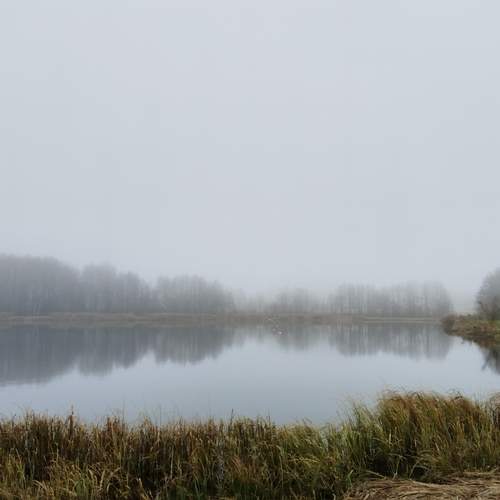 Photo #13245035