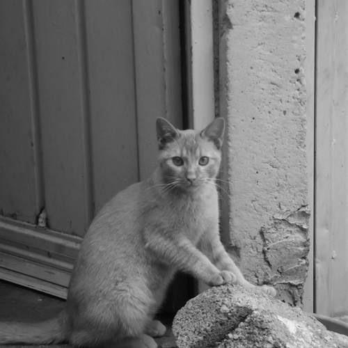 Photo #13245063
