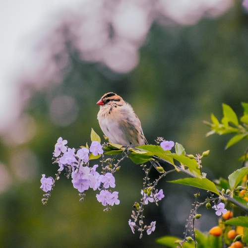 Photo #13245105