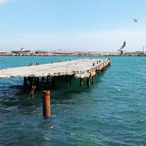 Photo #13245108