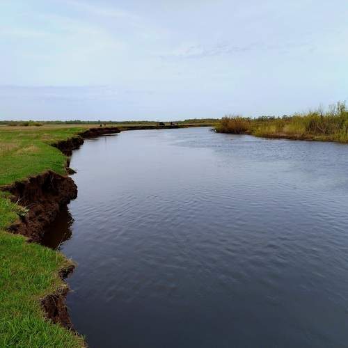 Photo #13245291