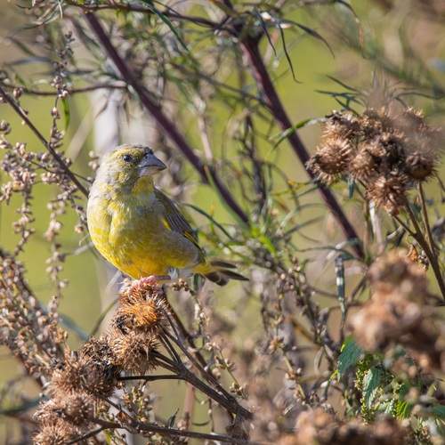 Photo #13245437