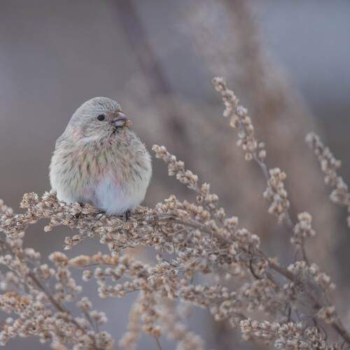 Photo #13245451