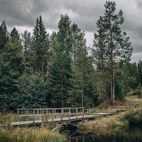 Фотография #13245457