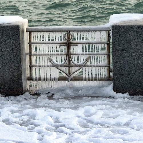 Photo #13245492