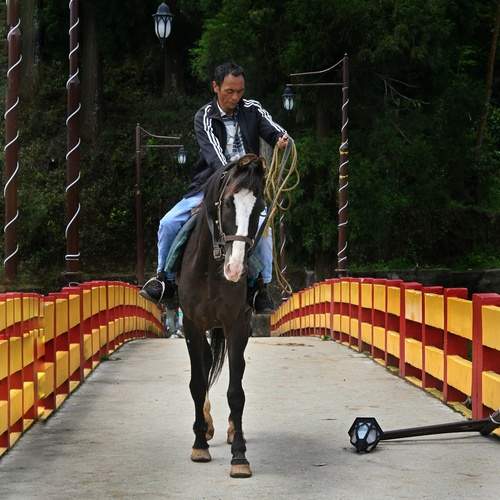 Photo #13245514