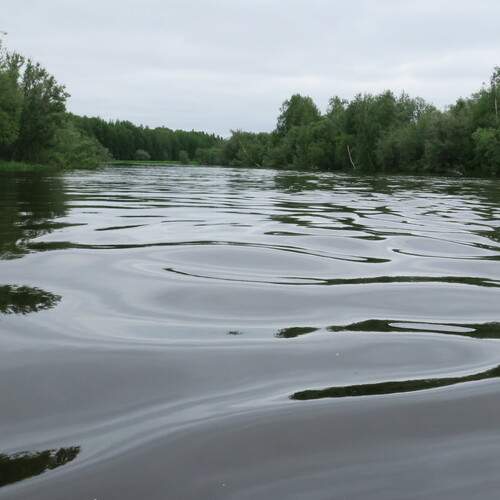 Photo #13245556